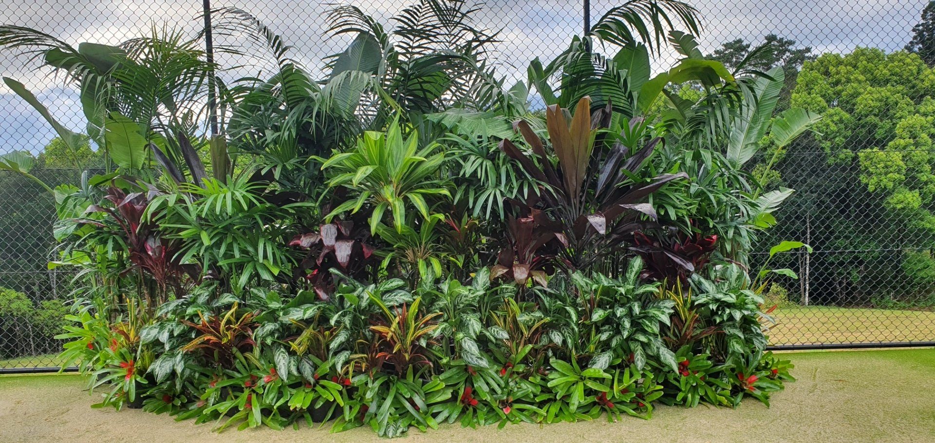 Indoor Plant Hire