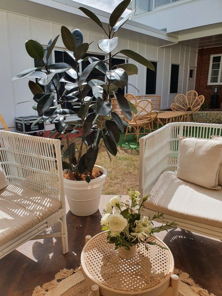Indoor Plant Hire