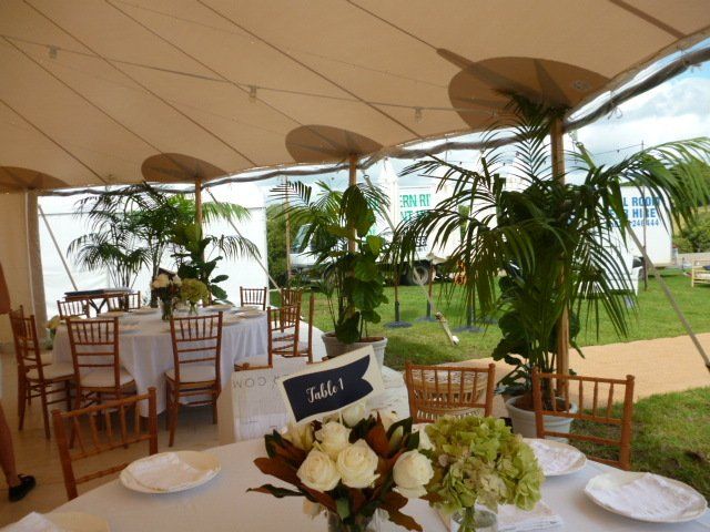 Indoor Plants