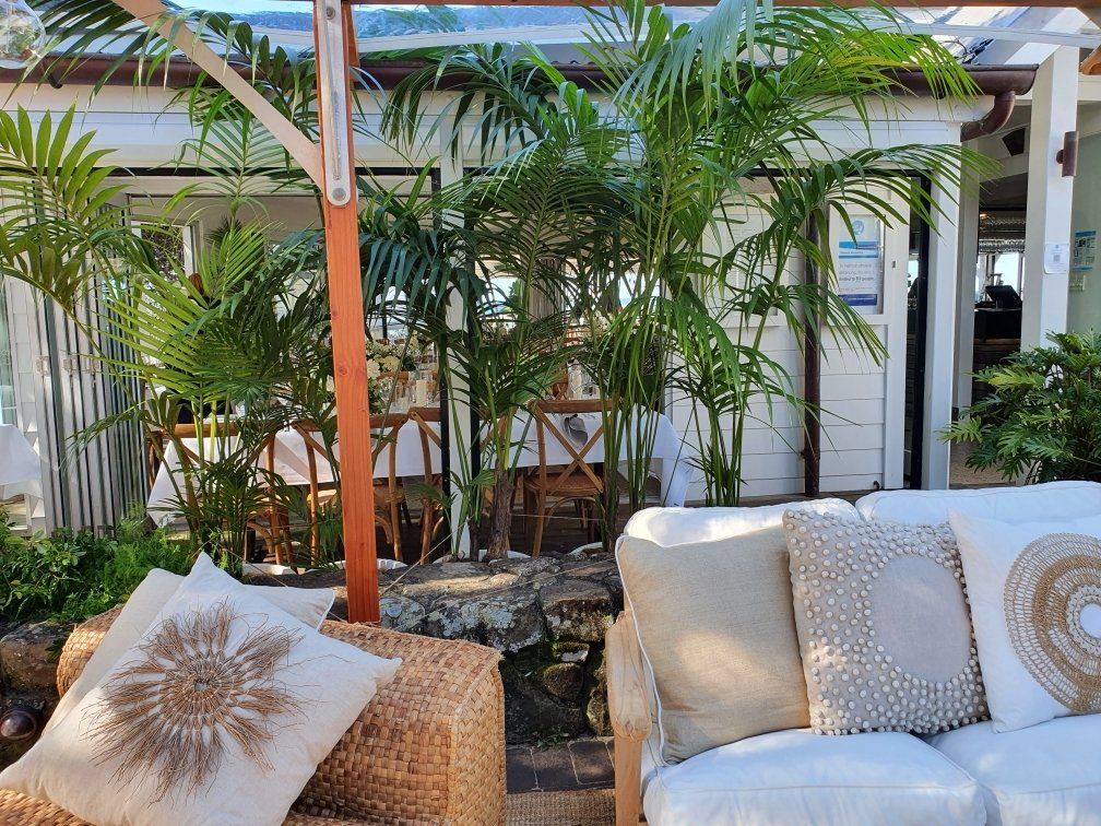 Indoor Plants