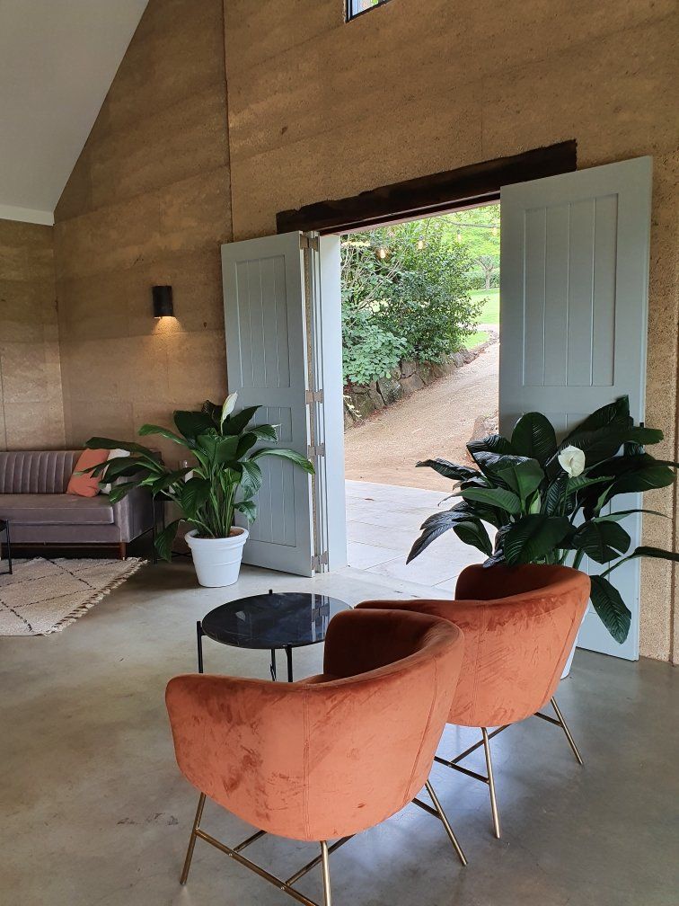 Indoor Plants