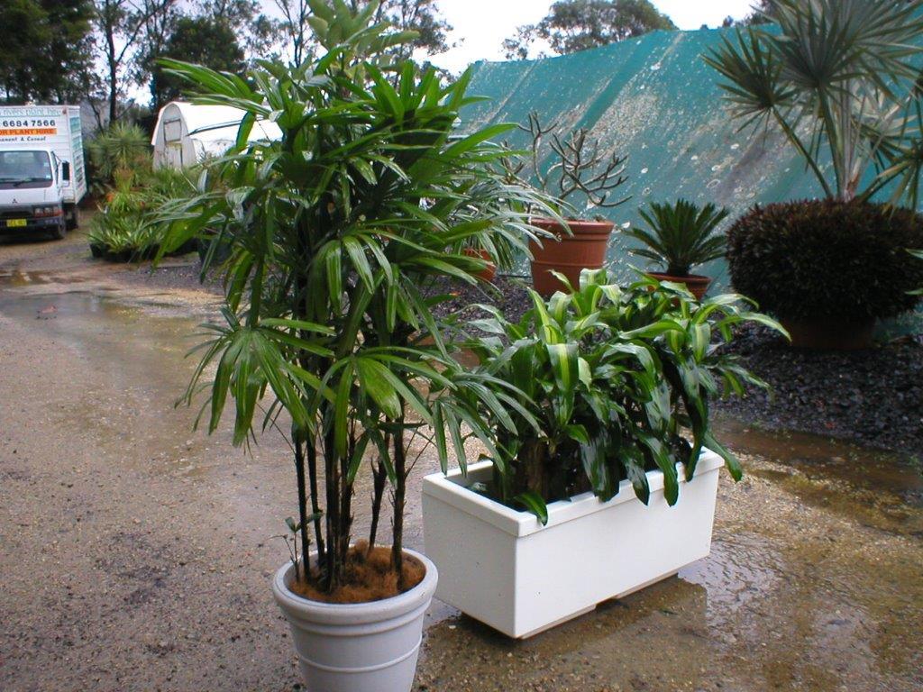 Plant Hire