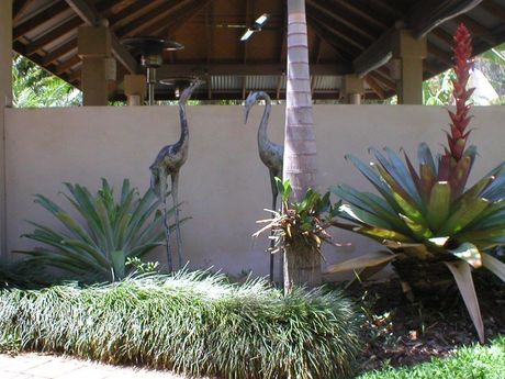 Casual Plant Hire Byron Bay